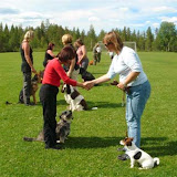 Sommerkurs 2 - Trysil 30. juni - 4. juli 2008
