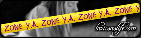 [YA-ZONE-slide-framed_thumb32.png]