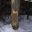 rimg4644.jpg