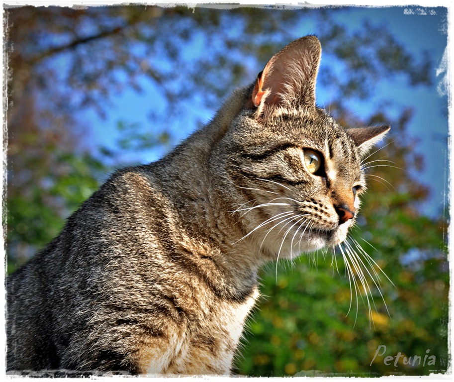[DSC_03215.jpg]