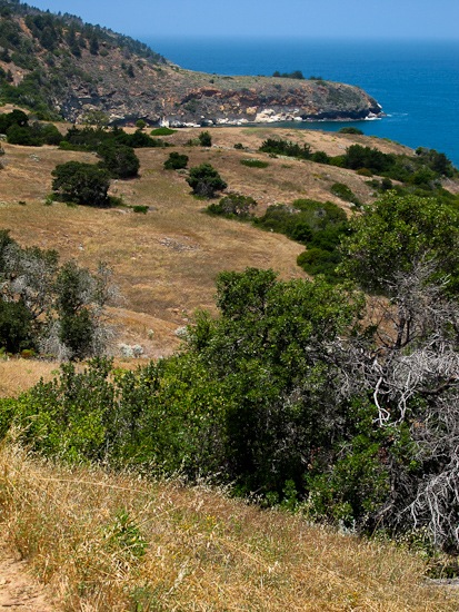 Channel Island NP Santa Cruz Island Pelican Bay Hike (29)