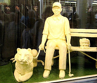 [Tiger-in-butter2.jpg]