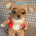funny dog pictures 1.jpg