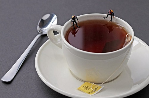 tea divers tea divers