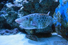 IMG_3029 IMG_3029