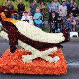 IMG_2652.JPG