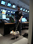 You know, sometimes I work the controls at Martha's TV show - can you give me a tour of your control room?