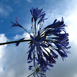 Balade_Auckland Balade_Auckland