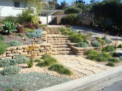By February (7 months after installation) the grasses have filled in and the garden looks a bit fuller than it did upon installation