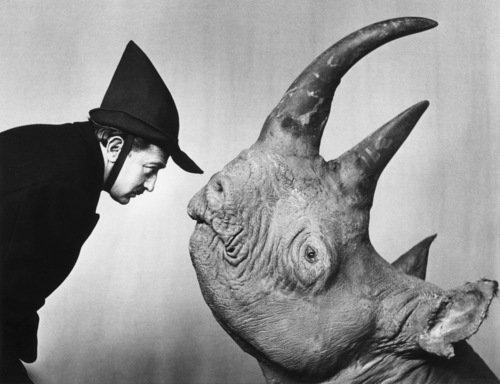 [rhino%255B4%255D.jpg]