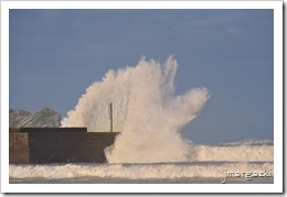 DSC_3796 DSC_3796
