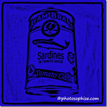 ayam brand sardines 3