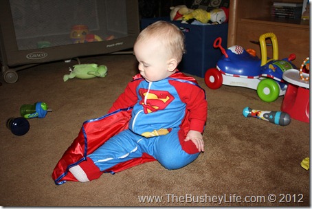 IMG_0663 IMG_0663