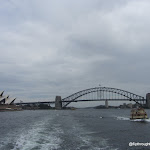 IMG_3415.JPG