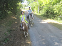 IMG_8446.JPG Photo