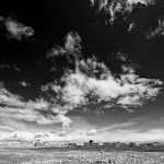 IMG_4324.jpg