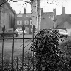 Film-120-7---5