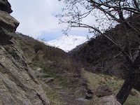 IMG_5282.JPG Photo