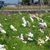 renwu_hanada_093.jpg