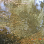 DSCN4542.JPG