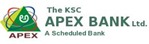 APEX BANK