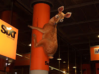 ... aber da hatten sogar die tiere angst vor den fahrkünsten ...