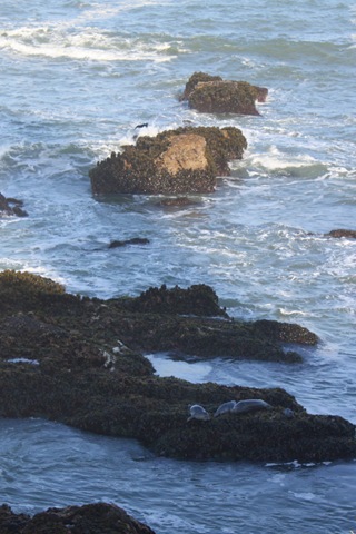 IMG_8231 IMG_8231
