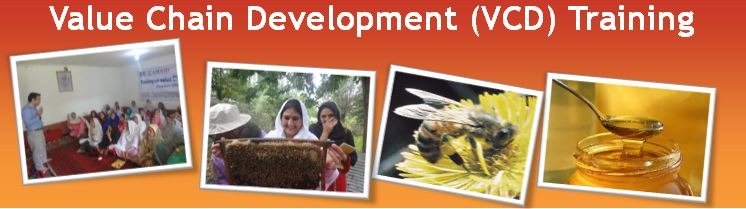 [VCD%2520Training%2520Banner%255B4%255D.jpg]