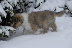 _DSC0087.JPG