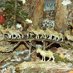 1382-2.jpg 1382-2.jpg