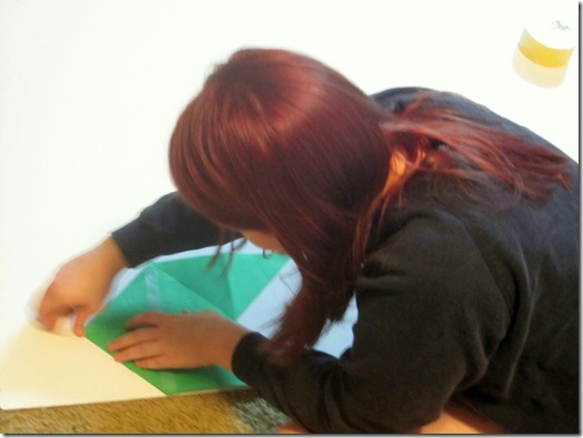 IMG_5108 IMG_5108