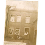 Photorestauration