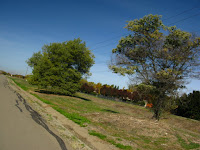Iron Horse Trail 016.JPG Photo