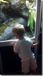 2012-07-16_10-19-47_101 2012-07-16_10-19-47_101