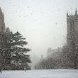 Blizzard