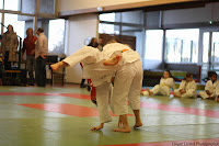 IMG_1194.jpg