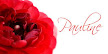 Name Card