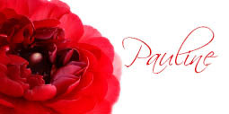 Name Card