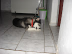 DSC05453.JPG