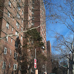 IMG_2560.jpg IMG_2560.jpg