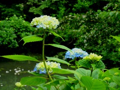 DSC05875 DSC05875
