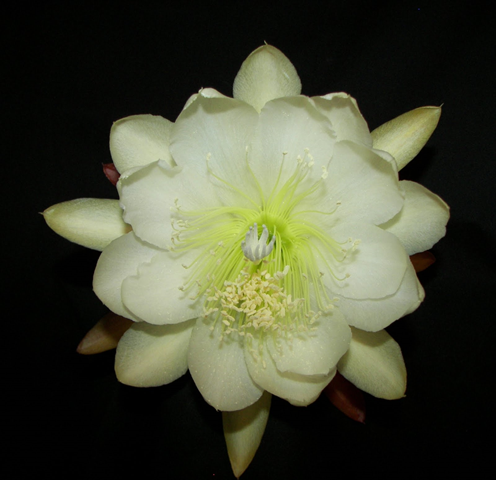 [image%255B114%255D.png]