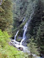 IMG_0039.JPG Photo