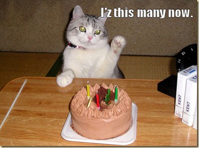 BirthdayCat BirthdayCat