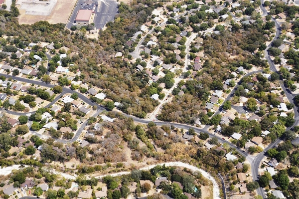 Drought stricken trees are visible in a residential area in Austin, Texas. The full effect of Texas' record-breaking drought and scorching hot summer on the state's trees will be revealed next spring, with a changed landscape emerging in many places. Ron Billings / Texas Forest Service via AP