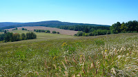 P1110943.JPG Photo