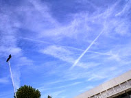 z.cieli ago2014 z.cieli ago2014