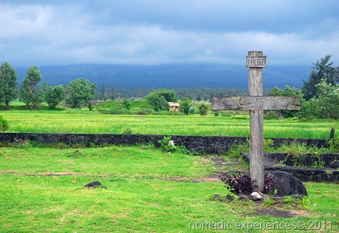 DSC_1951 DSC_1951