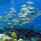 IMG_8924.JPG