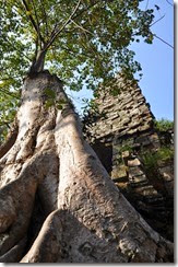 Cambodia Angkor Thom 131226_0428